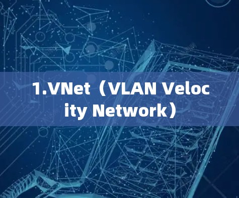 1.VNet（VLAN Velocity Network）
