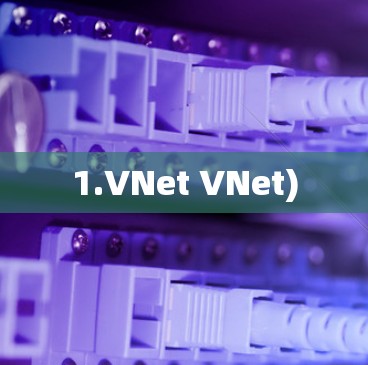 1.VNet VNet)
