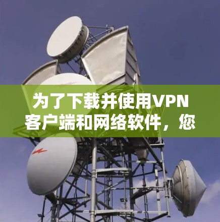 为了下载并使用VPN客户端和网络软件，您可以按照以下步骤进行