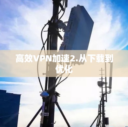 高效VPN加速2.从下载到优化