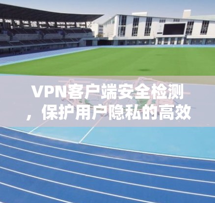 VPN客户端安全检测，保护用户隐私的高效方式