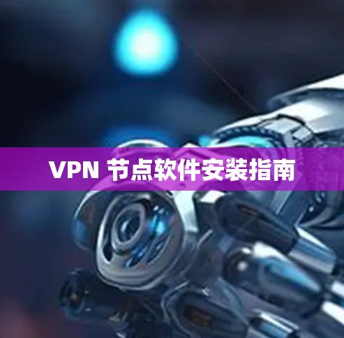 VPN 节点软件安装指南