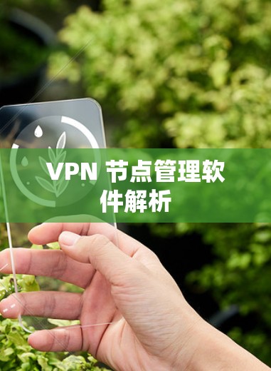VPN 节点管理软件解析