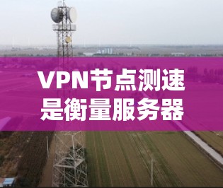 VPN节点测速是衡量服务器性能的重要指标，通常指的是连接速度。以下是基于测速数据和服务器排位的全球排行