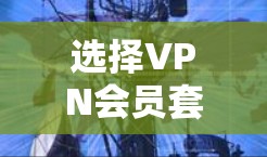 选择VPN会员套餐时，以下是一些关键因素和步骤，帮助你做出明智的选择