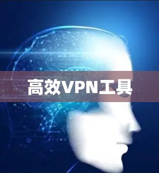高效VPN工具
