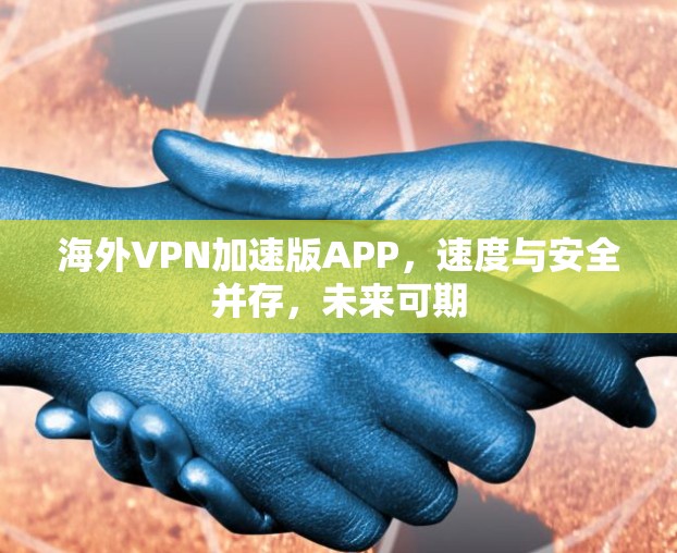 海外VPN加速版APP，速度与安全并存，未来可期