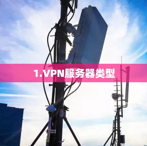 1.VPN服务器类型 1.VPN服务器类型