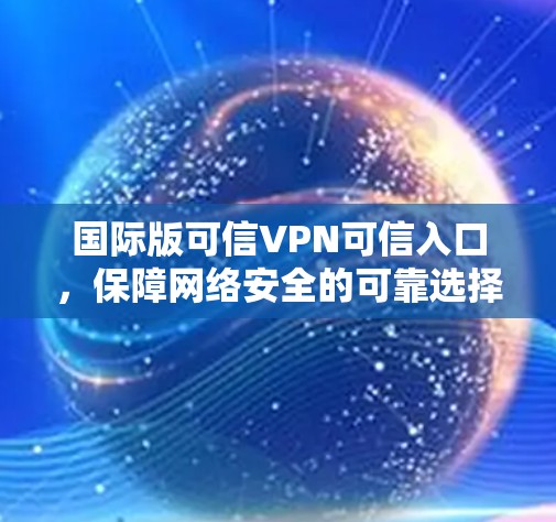 国际版可信VPN可信入口，保障网络安全的可靠选择