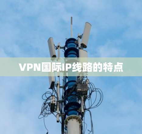 VPN国际IP线路的特点