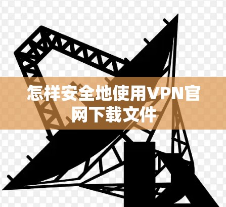 怎样安全地使用VPN官网下载文件