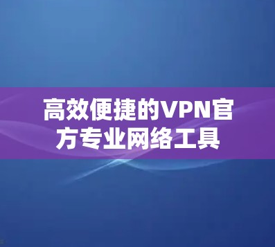 高效便捷的VPN官方专业网络工具