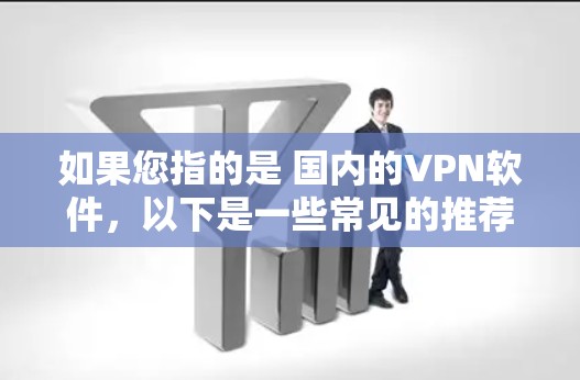如果您指的是 国内的VPN软件，以下是一些常见的推荐和使用方法，这些软件通常提供速度稳定、安全可靠的网络连接，适合在国外访问国内网络或IP地址