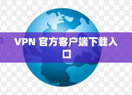 VPN 官方客户端下载入口