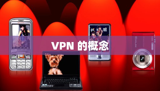 VPN 的概念