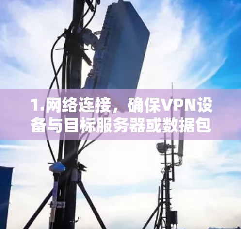1.网络连接，确保VPN设备与目标服务器或数据包服务器（官方节点）建立连接
