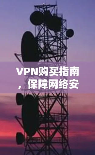 VPN购买指南，保障网络安全的高效选择