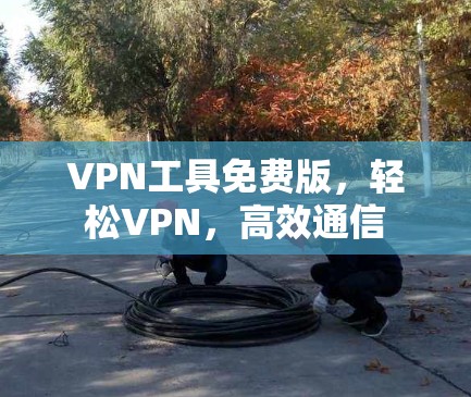 VPN工具免费版，轻松VPN，高效通信