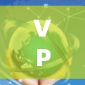 VPN高速出口线路是高速公路上提供VPN服务的设施，旨在为高速公路用户提供安全的网络连接。以下是对这一问题的详细分析和解答