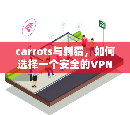 carrots与刺猬，如何选择一个安全的VPN服务商？