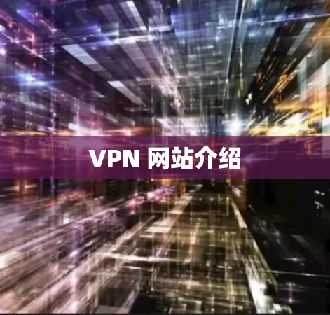 VPN 网站介绍
