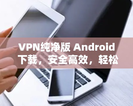 VPN纯净版 Android 下载，安全高效，轻松连接