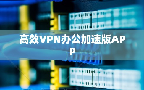 高效VPN办公加速版APP