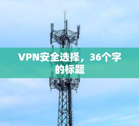 VPN安全选择，36个字的标题