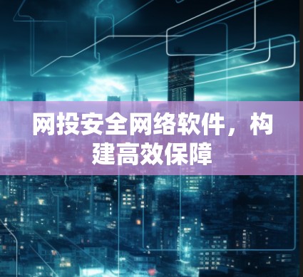 网投安全网络软件，构建高效保障