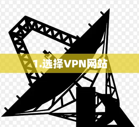 1.选择VPN网站