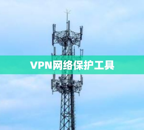 VPN网络保护工具