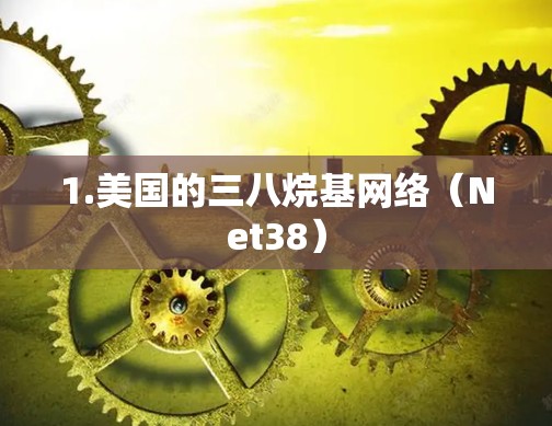 1.美国的三八烷基网络（Net38）