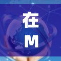 在Mac上安装和使用VPN软件的步骤如下