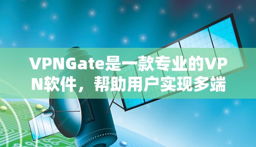 VPNGate是一款专业的VPN软件，帮助用户实现多端访问，支持网页、视频、文件等多种服务。以下是使用VPNGate的详细步骤
