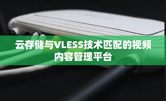 云存储与VLESS技术匹配的视频内容管理平台