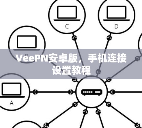 VeePN安卓版，手机连接设置教程