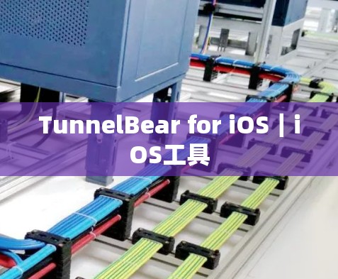 TunnelBear for iOS｜iOS工具