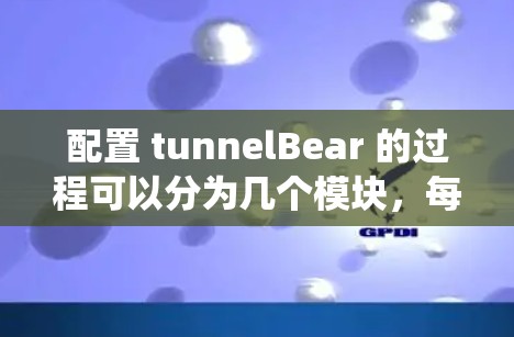 配置 tunnelBear 的过程可以分为几个模块，每个模块都有其特定的配置步骤。以下是一个系统的配置指南，帮助你顺利设置并运行 tunnelBear