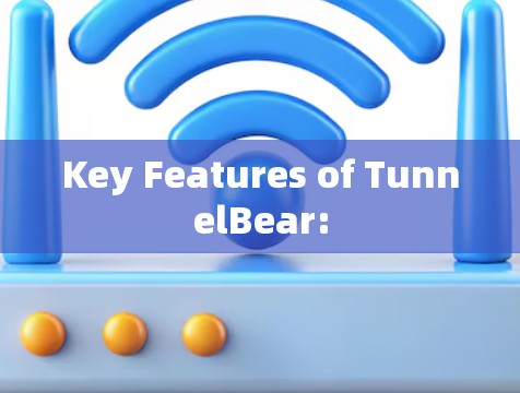 Key Features of TunnelBear: