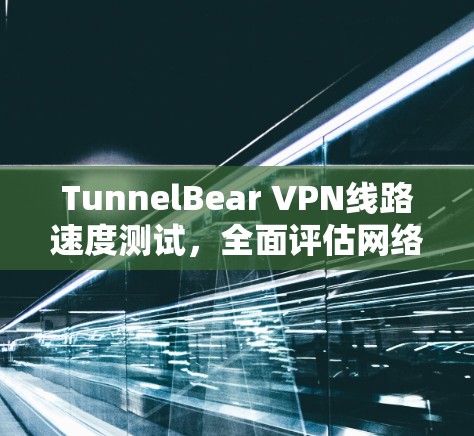 TunnelBear VPN线路速度测试，全面评估网络性能与用户体验
