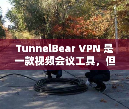 TunnelBear VPN 是一款视频会议工具，但它并不是专门用于VPN的，它主要是用来进行视频会议、直播和分享文件的。如果你正在寻找类似VPN的解决方案，可以考虑以下工具