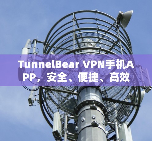 TunnelBear VPN手机APP，安全、便捷、高效