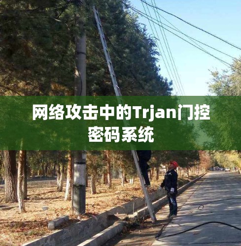 网络攻击中的Trjan门控密码系统