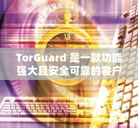 TorGuard 是一款功能强大且安全可靠的客户端安全应用，旨在保护用户的数据和网络环境。以下是其最新版本的主要功能简介
