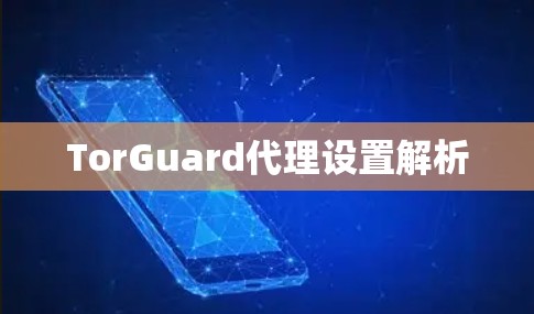 TorGuard代理设置解析