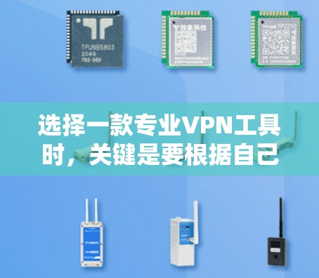 选择一款专业VPN工具时，关键是要根据自己的实际需求和预算来判断。以下是对 TorGuard VPN 的详细分析，帮助你做出明智的选择