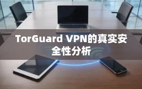 TorGuard VPN的真实安全性分析