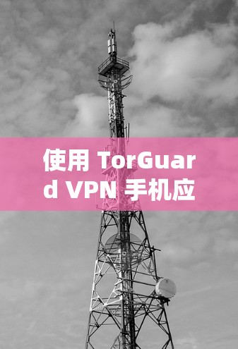 使用 TorGuard VPN 手机应用需要按照以下步骤进行