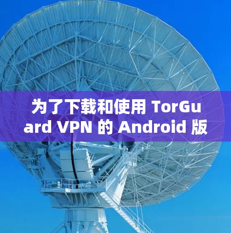 为了下载和使用 TorGuard VPN 的 Android 版，您可以按照以下步骤进行操作