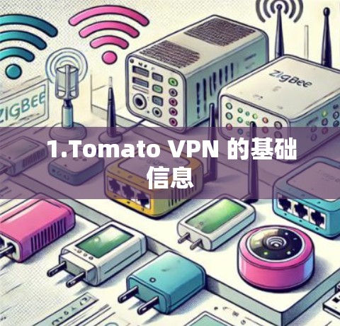 1.Tomato VPN 的基础信息